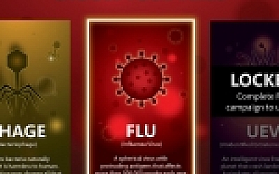 感染/Infectious